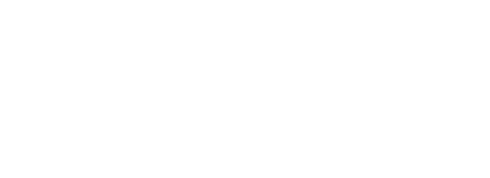 Q'nique 21